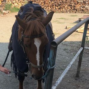 Meet your Posher, Arzije